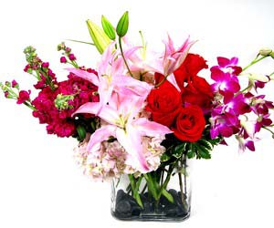 flowers delvery dallas florists