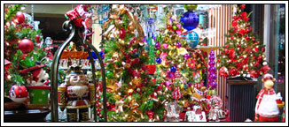 Mockingbird Florist, fine flowers, gifts and event designs in Dallas, Texas.