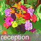 Celebrate your wedding reception with flowers from your Dallas florist, Mockingbird Florist