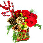 Holiday Carol