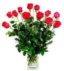 Our Best Premium Roses in a Rectangular Contemperary Vase