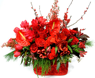 Holiday in Red from Mockingbird Florist in Dallas, TX