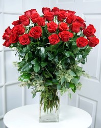 48 Gorgeous Red Roses 