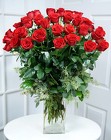 48 Gorgeous Red Roses