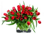 Just Tulips 30 Tulips