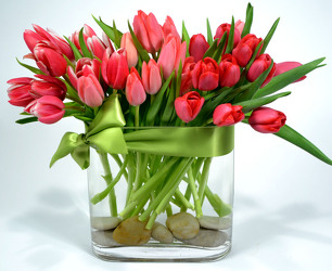 Holland Tulips by Thirty Assorted from Mockingbird Florist in Dallas, TX