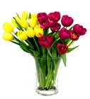 Tempting Tulips