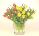 Tempting Tulips