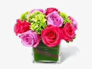 Cheryl’s Roses
