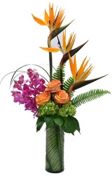 Bird & Orchids from Mockingbird Florist in Dallas, TX