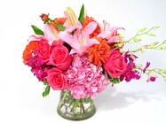 Pavarotti $20.00 Off  Code SS1
