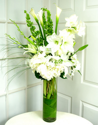 White Amaryllis from Mockingbird Florist in Dallas, TX