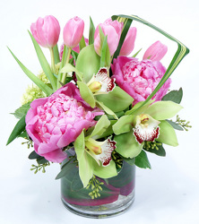 Anita Peonies & Tulips