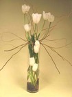 Simple Sophisicate