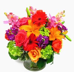 Flowers, Plants, gifts and more for any occasion
