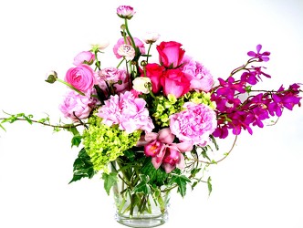 Angela Peonies