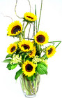 ARV-71 Summer Show Of Sunflowers 36in Tall