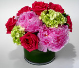 Pam’s Peonies 