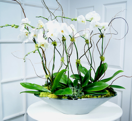 internet florist