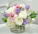 Hyacinths & Friends
