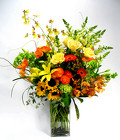 Fall Spectacular