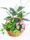 Garden Basket   