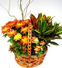 Golden Glory Large Garden Basket