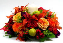 Fall Splendor