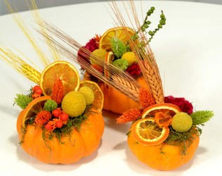 Mini Pumpkins Decorated With Dried Materials from Mockingbird Florist in Dallas, TX