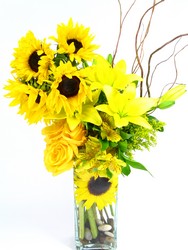 Mellow Yellow