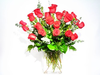 Contemporary Red    24  Premium Red Roses   