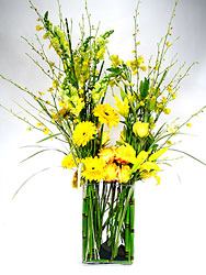 Juane Fleurs