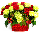 Roses & Orchids for the Holidays