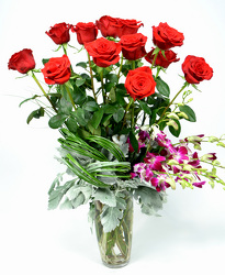 Red Allure