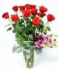 Red Allure