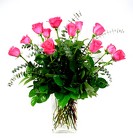 12 Lush Pink  Roses Internet Special