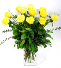 12 Lush Yellow Roses 