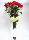 18 Exquisite Red & White Roses