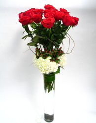18 Exquisite Red Roses