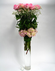 12 Exquisite Pink & White Roses