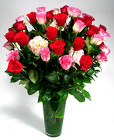 Malibu & Red 48 Roses