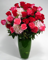  Indulgence  48 Large roses with Hydrangea Internet Special  from Mockingbird Florist in Dallas, TX