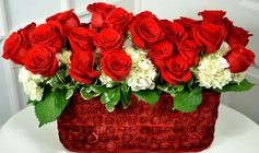 Red Providence