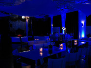 Club Decorations and Floral Accents