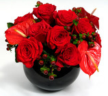 Hearts & Roses