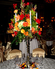 Park Cities Hilton Reception