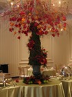 Table Decorations