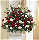 Devotion Arrangement