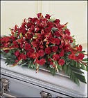 Red  Splendor Casket Spray