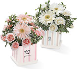 Baby Prince Bouquet